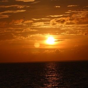 Meet your Posher, Mercedes